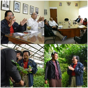 CEO KONGHEA