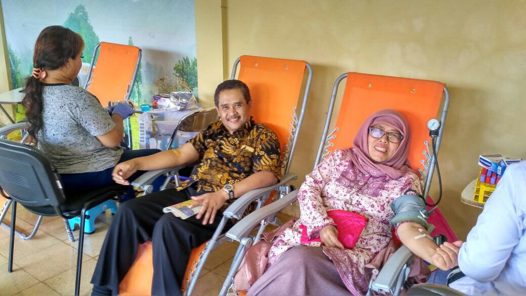 Website donor darah artikel