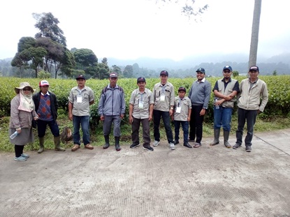 perkebunan 3