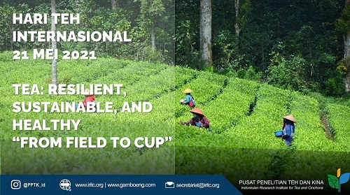 International tea day 2021-jp