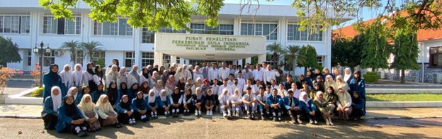 Picture3-p3gi3